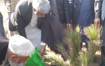 Inauguration of Spring Tree Plantation Campaign at GTVC (B) Dargai Malakand on 18 February 2022